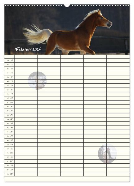 Produktbild: Haflinger Pferde - Stall- und Familienplaner 2026 (hochwertiger Premium Wandkalender 2026 DIN A2 hoch), Kunstdruck in Hochglanz
