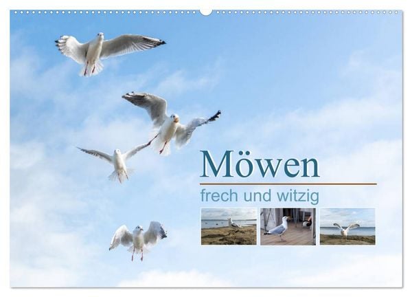 Produktbild: M&ouml;wen frech und witzig (Wandkalender 2026 DIN A2 quer), CALVENDO Monatskalender