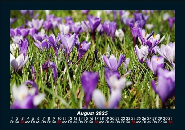 Produktbild: Blumenkalender 2025 Fotokalender DIN A5
