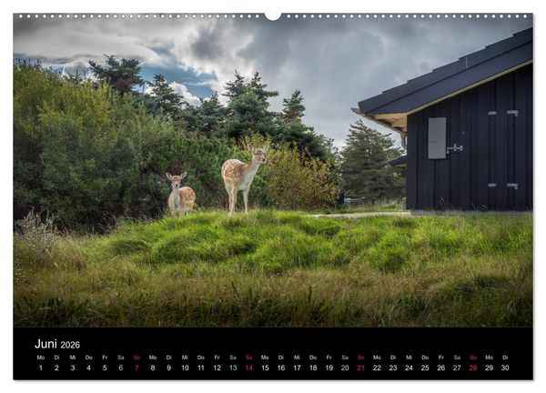 Produktbild: Fan&oslash; - Meine Insel (Wandkalender 2026 DIN A2 quer), CALVENDO Monatskalender