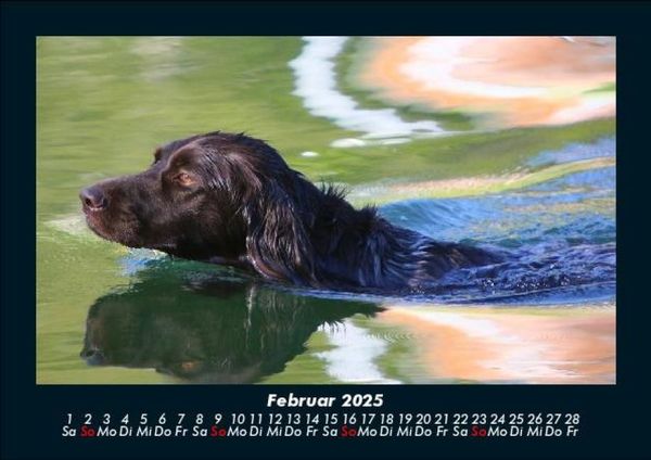 Produktbild: Tage am See 2025 Fotokalender DIN A5