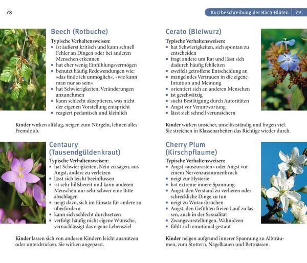 Produktbild: Bachblüten