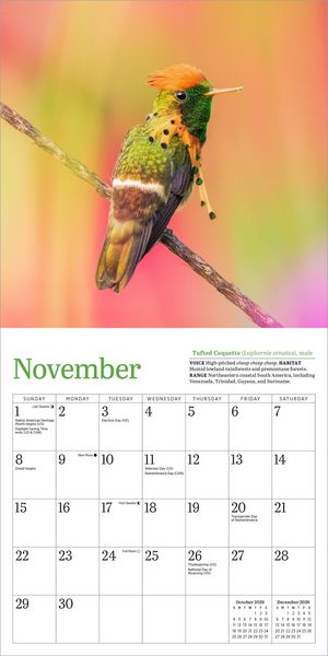 Produktbild: Audubon Hummingbirds Mini Wall Calendar 2026