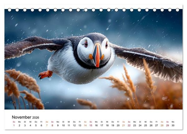 Produktbild: Papageitaucher - Freche Komiker auf Fels und Welle (Tischkalender 2026 DIN A5 quer), CALVENDO Monatskalender