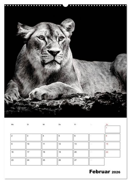 Produktbild: Charakterk&ouml;pfe aus der Welt der Tiere (hochwertiger Premium Wandkalender 2026 DIN A2 hoch), Kunstdruck in Hochglanz