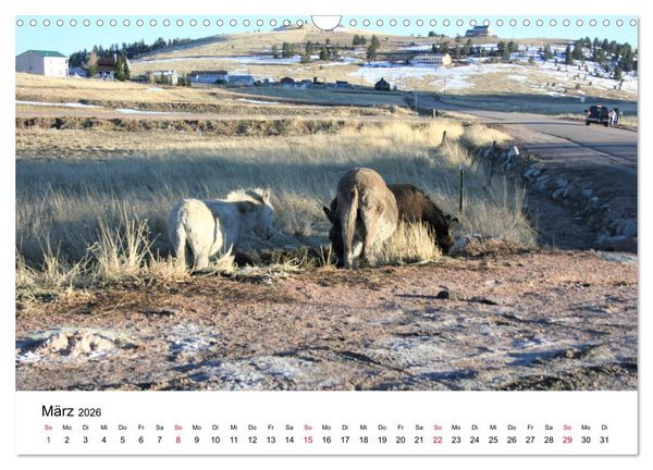 Produktbild: Colorado, USA - Ausflugsziele rund um Colorado Springs (Wandkalender 2026 DIN A3 quer), CALVENDO Monatskalender