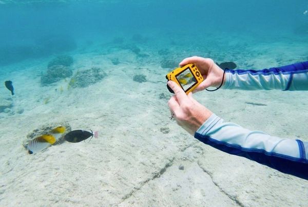 Produktbild: Kodak Pixpro WPZ2 Digitalkamera 15 Megapixel Opt. Zoom: 4 x Gelb inkl. Akku, inkl. Blitzger&auml;t Bildstabilisierung, WiFi, Wasserdicht