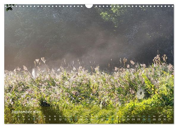 Produktbild: Moortr&auml;ume - Natursch&ouml;nheit in Bildern (Wandkalender 2026 DIN A3 quer), CALVENDO Monatskalender
