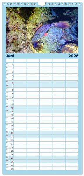 Produktbild: Familienplaner 2026 - Geheimnisvolle Welt unter Wasser - Nachts am Riff mit 5 Spalten (Wandkalender, 21 x 45 cm) CALVENDO