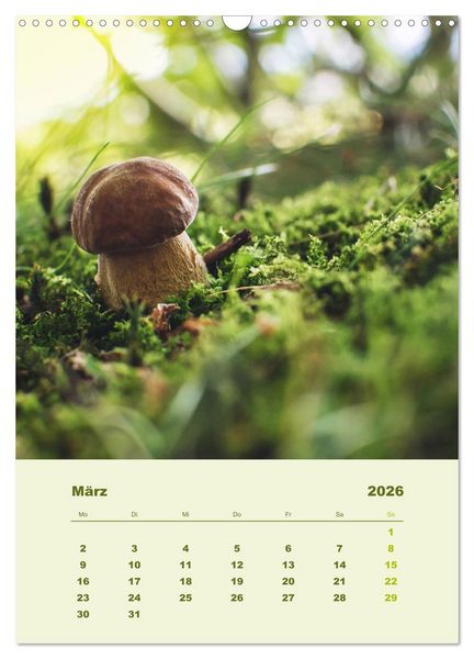 Produktbild: Wundersame Welt der Pilze (Wandkalender 2026 DIN A3 hoch), CALVENDO Monatskalender