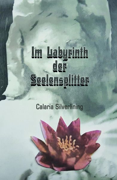 Produktbild: Im Labyrinth der Seelensplitter