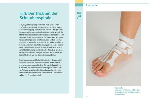 Produktbild: Gesunde F&uuml;&szlig;e
