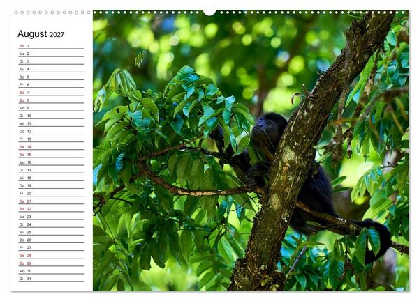 Produktbild: Costa Rica &ndash; Tierparadies im Regenwald (Wandkalender 2027 DIN A2 quer), CALVENDO Monatskalender