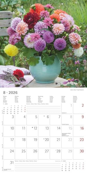 Produktbild: Alpha Edition - Blumenträume 2026 Broschürenkalender, 30x30cm, Wandkalender mit Platz für Notizen und Termine, hochwertige Bildmotive, Mondphasen, Mon