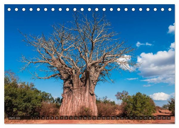 Produktbild: S&uuml;dafrika - Die Landschaft (Tischkalender 2026 DIN A5 quer), CALVENDO Monatskalender