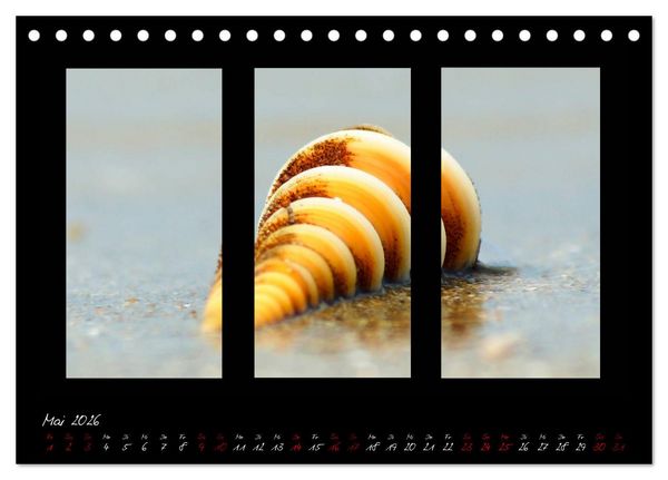 Produktbild: Die Kunst der Natur - Dreifach Stilvoll (Tischkalender 2026 DIN A5 quer), CALVENDO Monatskalender
