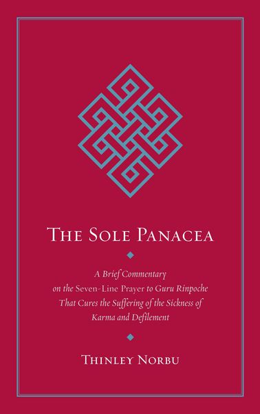 Produktbild: The Sole Panacea