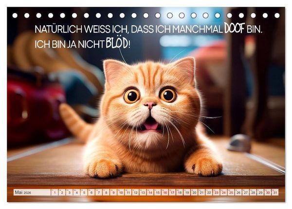 Produktbild: S&uuml;&szlig;e Katzen und coole Spr&uuml;che (Tischkalender 2026 DIN A5 quer), CALVENDO Monatskalender