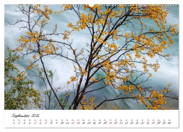 Produktbild: Im Atem der B&auml;ume (Wandkalender 2026 DIN A2 quer), CALVENDO Monatskalender