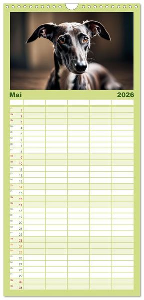 Produktbild: Familienplaner 2026 - Windhunde im Portrait mit 5 Spalten (Wandkalender, 21 x 45 cm) CALVENDO