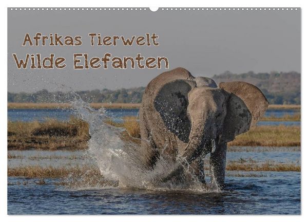 Afrikas Tierwelt - Wilde Elefanten (Wandkalender 2026 DIN A2 quer), CALVENDO Monatskalender