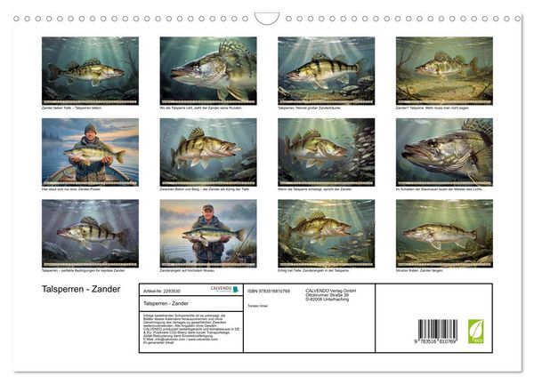 Produktbild: Talsperren - Zander (Wandkalender 2027 DIN A3 quer), CALVENDO Monatskalender