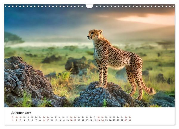 Produktbild: Eleganz und Instinkt - die beeindruckende Welt der Geparden (Wandkalender 2027 DIN A3 quer), CALVENDO Monatskalender