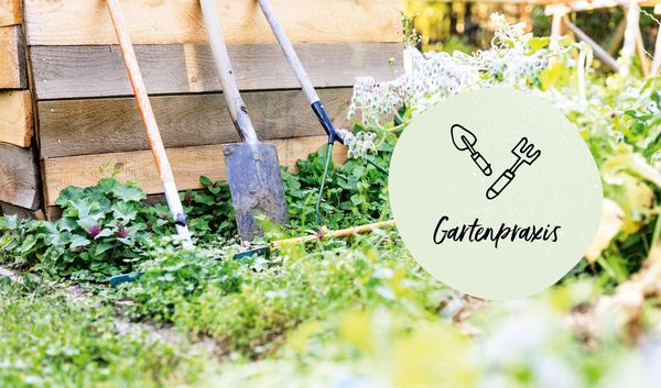 Produktbild: Mein Biogem&uuml;se-Garten