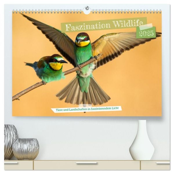 Faszination Wildlife (hochwertiger Premium Wandkalender 2025 DIN A2 quer), Kunstdruck in Hochglanz