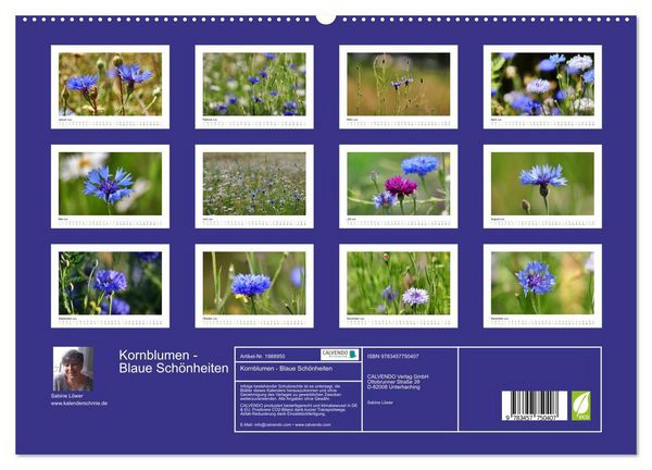 Produktbild: Kornblumen - Blaue Sch&ouml;nheiten (hochwertiger Premium Wandkalender 2026 DIN A2 quer), Kunstdruck in Hochglanz