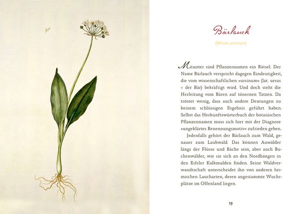 Produktbild: Eifeler Bl&uuml;ten-Lese