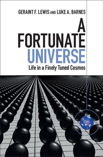 Produktbild: A Fortunate Universe
