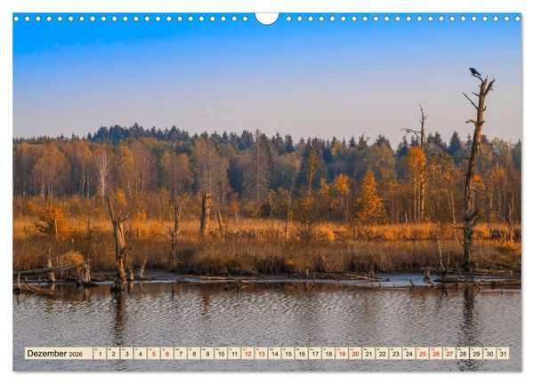 Produktbild: Herbst im Schwenninger Moos (Wandkalender 2026 DIN A3 quer), CALVENDO Monatskalender