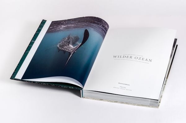 Produktbild: Wilder Ozean