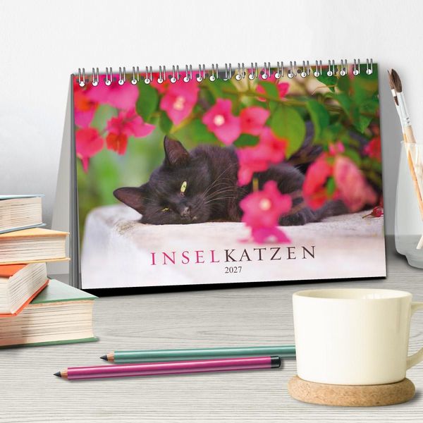 Produktbild: Inselkatzen (Tischkalender 2027 DIN A5 quer), CALVENDO Monatskalender