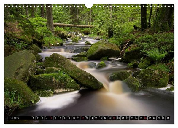 Produktbild: Zauberhafter Harz (Wandkalender 2026 DIN A3 quer), CALVENDO Monatskalender