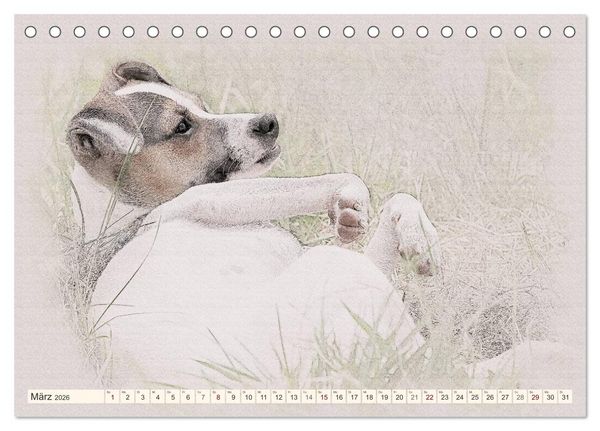 Produktbild: Bodeguero Andaluz 2026 (Tischkalender 2026 DIN A5 quer), CALVENDO Monatskalender