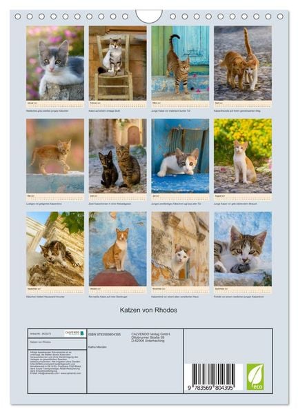 Produktbild: Katzen von Rhodos (Wandkalender 2027 DIN A4 hoch), CALVENDO Monatskalender