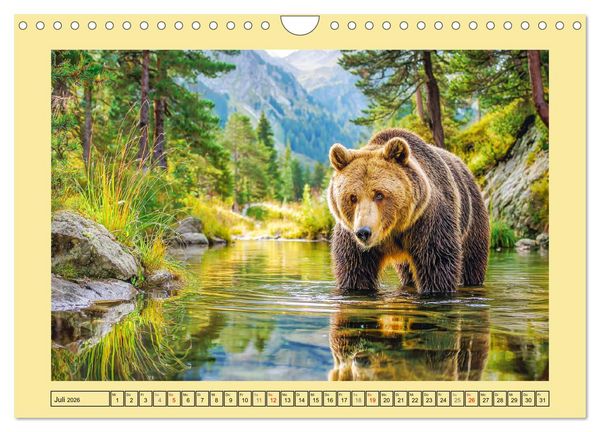 Produktbild: Im Herz der Wildnis. Die beeindruckende St&auml;rke und Stille der B&auml;ren (Wandkalender 2026 DIN A4 quer), CALVENDO Monatskalender