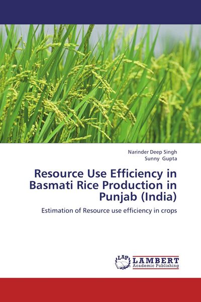 Produktbild: Resource Use Efficiency in Basmati Rice Production in Punjab (India)