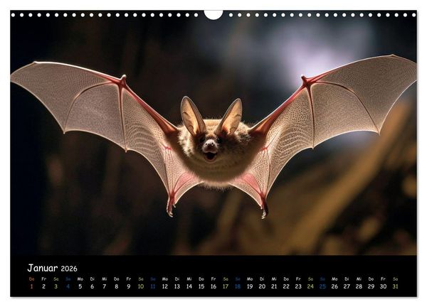 Produktbild: Flederm&auml;use - kleine Vampire (Wandkalender 2026 DIN A3 quer), CALVENDO Monatskalender