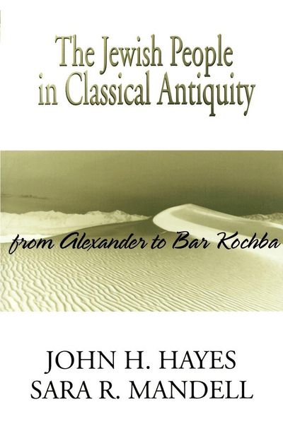 Produktbild: The Jewish People in Classical Antiquity