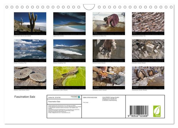 Produktbild: Faszination Salz (Wandkalender 2026 DIN A4 quer), CALVENDO Monatskalender