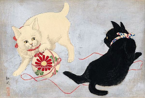 Produktbild: Katzen