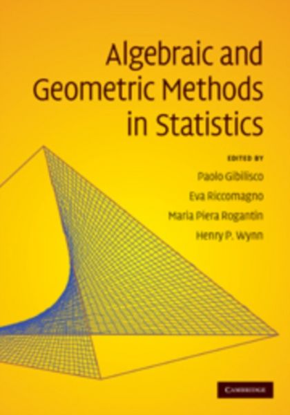 Produktbild: Algebraic and Geometric Methods in Statistics