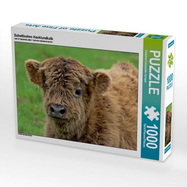 CALVENDO Puzzle Schottisches Hochlandkalb | 1000 Teile Lege-Größe 64x48cm Foto-Puzzle für glückliche Stunden