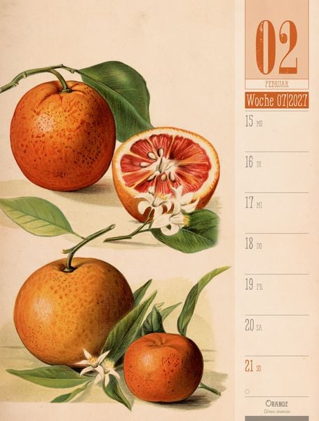 Produktbild: Culinarium Wochenplaner Kalender 2027 | K&uuml;che, Kr&auml;uter, Kurioses