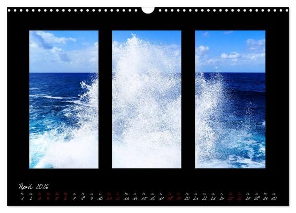 Produktbild: Die Kunst der Natur - Dreifach Stilvoll (Wandkalender 2026 DIN A3 quer), CALVENDO Monatskalender