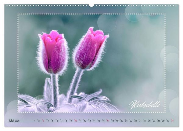 Produktbild: Bl&uuml;tenbouquet (Wandkalender 2026 DIN A2 quer), CALVENDO Monatskalender