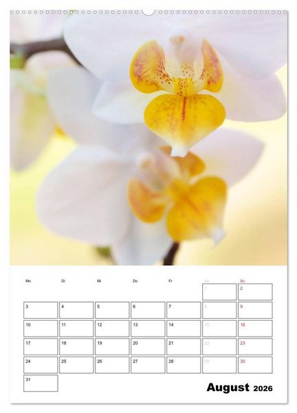 Produktbild: Zauberhafte Bl&uuml;tenwelt / Planer (Wandkalender 2026 DIN A2 hoch), CALVENDO Monatskalender